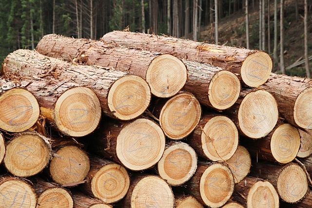 四万十市産木材を使用し建築すると補助を受けられる！？